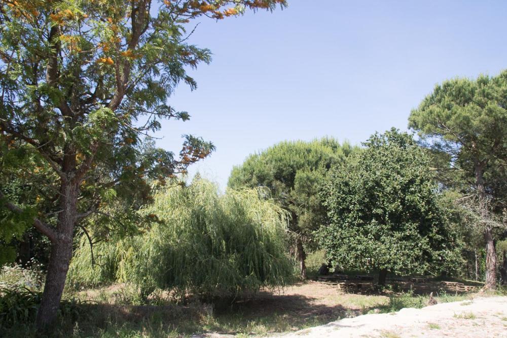 Quinta da Galeana Dreaming Bed and Breakfast Lourinhã Esterno foto